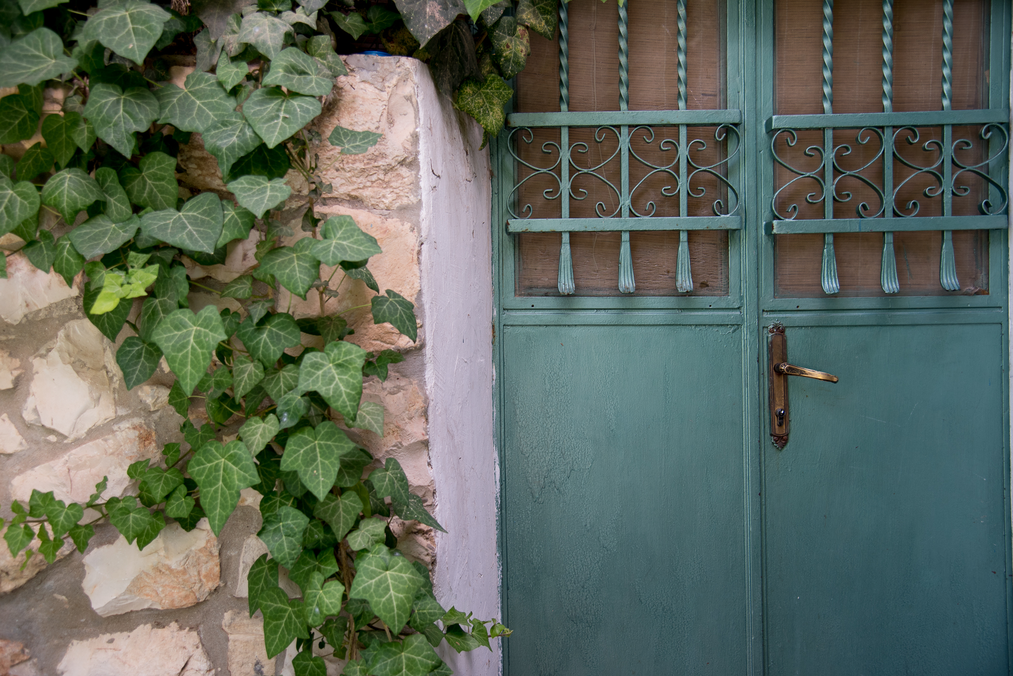 נוף על הואדי