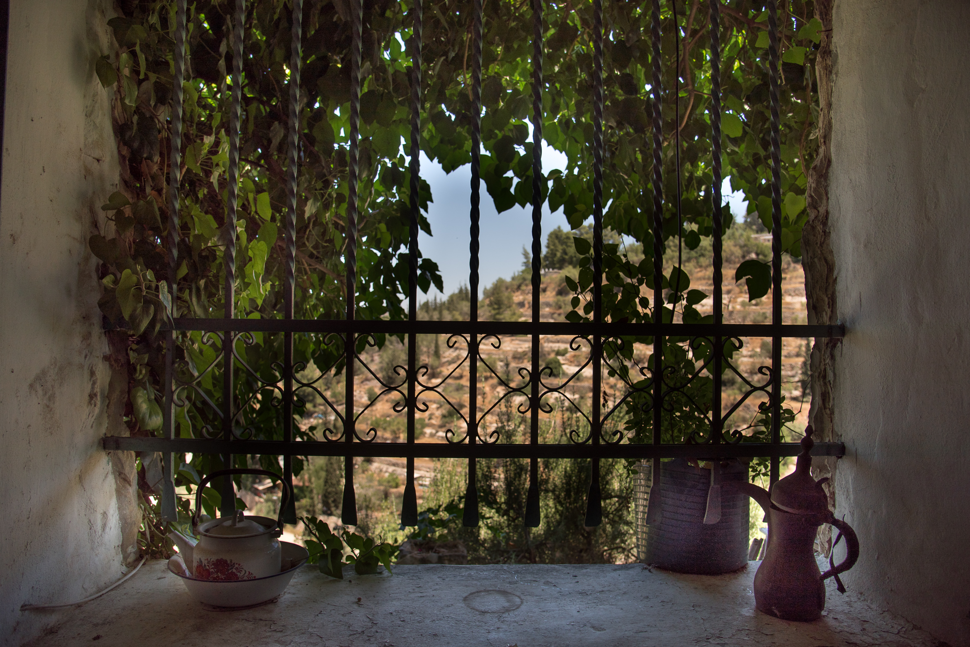 נוף על הואדי