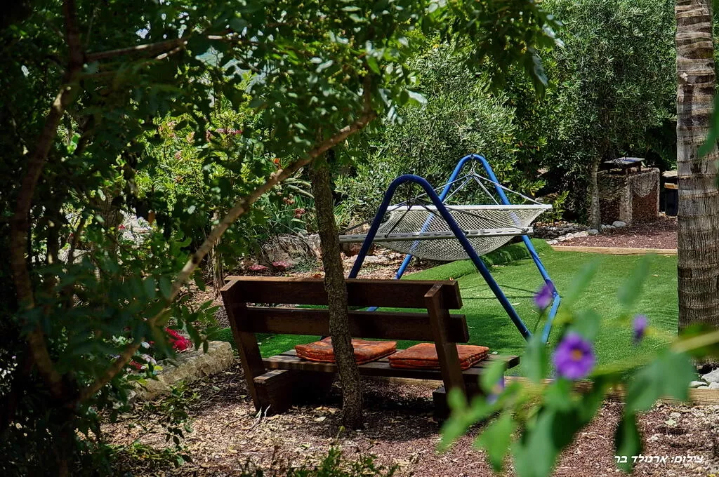 כיסא עץ נוח, מתקן משחק מתכתי כחול ועצים ירוקים - בקתות הלוטם, צימר בצפון, שומרה, גליל מערבי