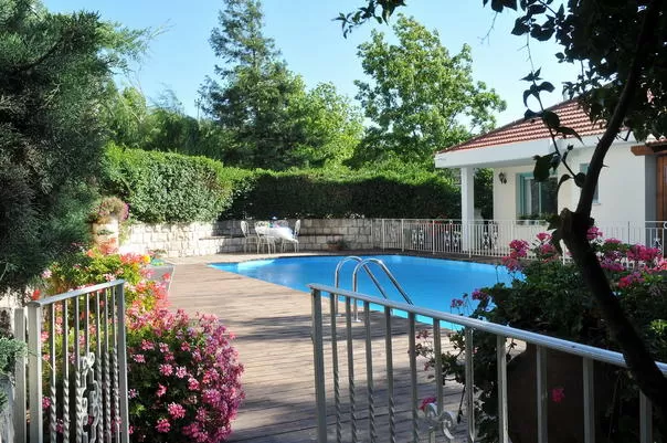 חשיפה לצפון