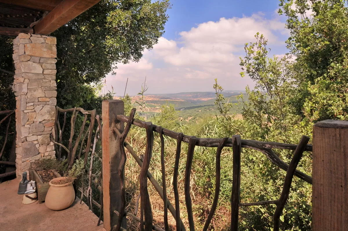 A view of a natural forest and a stream - Sipur Pashut couples only, Matat, Western Galilee