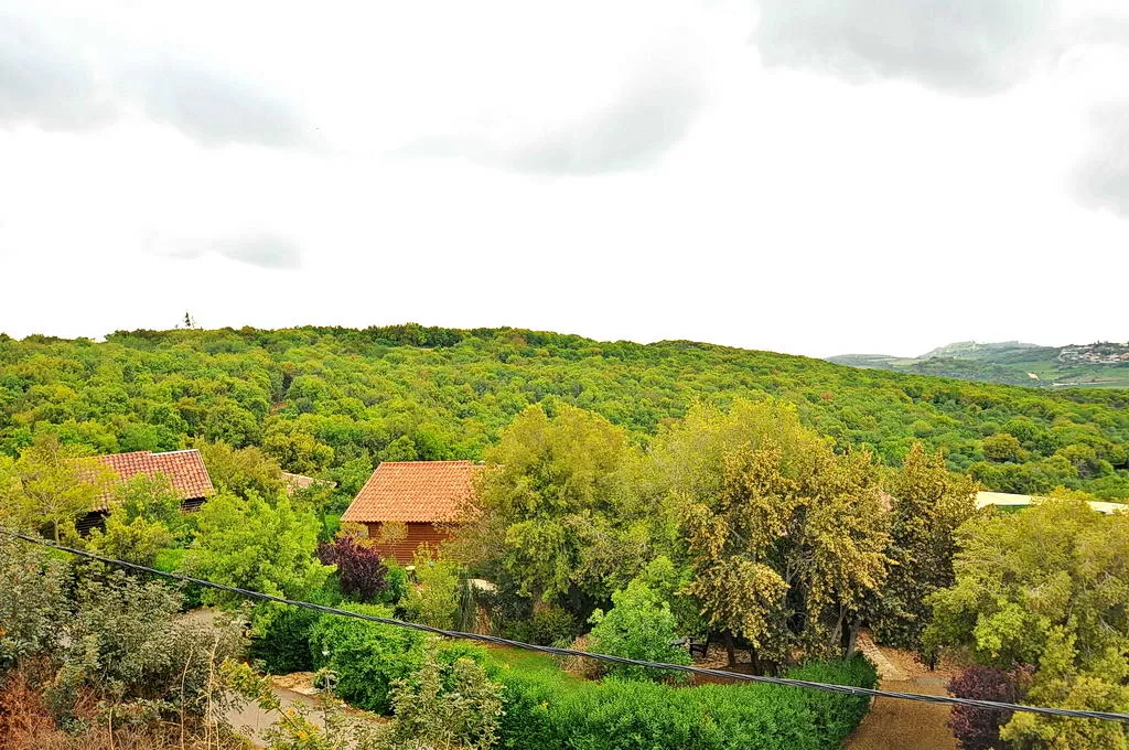 Shiluvim Bateva, Shtula