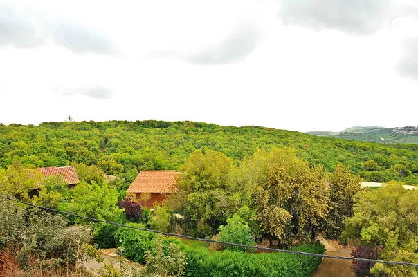 Shiluvim Bateva, Shtula