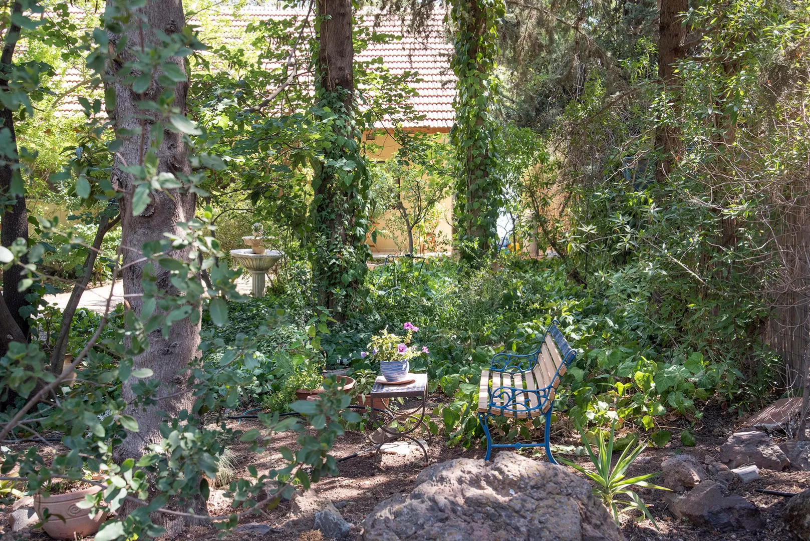 The atmosphere in the complex is that of a European village - Villa View, Amoka, Upper Galilee