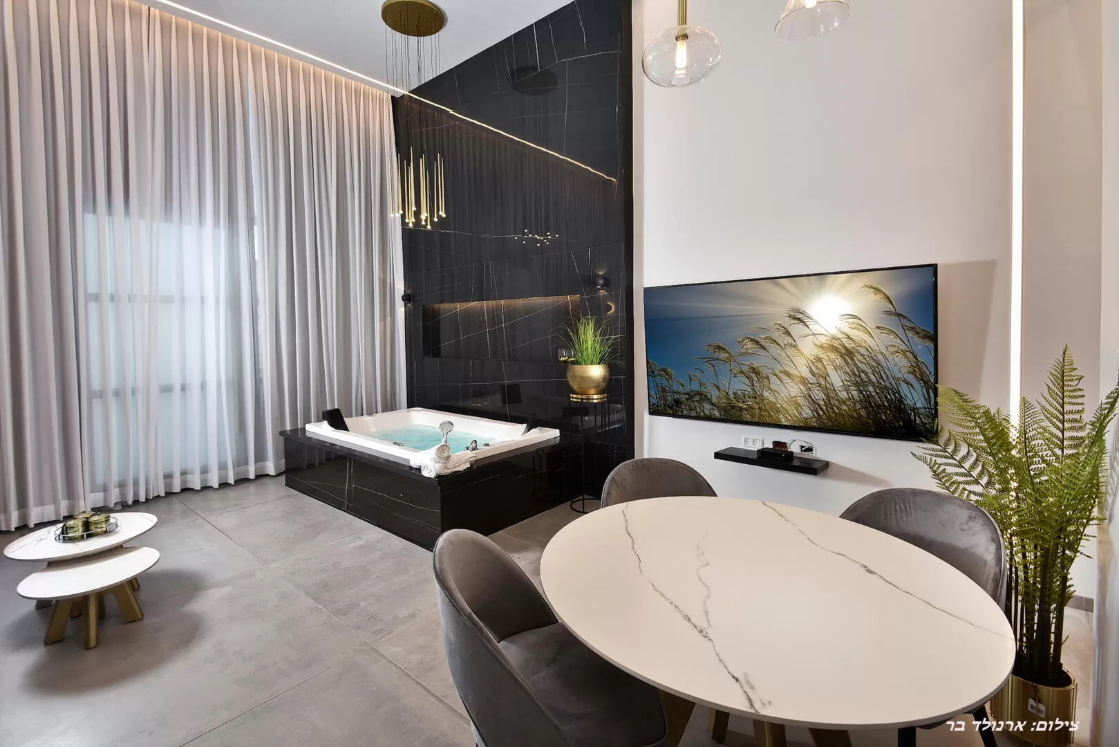 The size of each suite is about 80 square meters. The ceiling is 4.5 meters high! - Gold Dream, Dalton, Upper Galilee