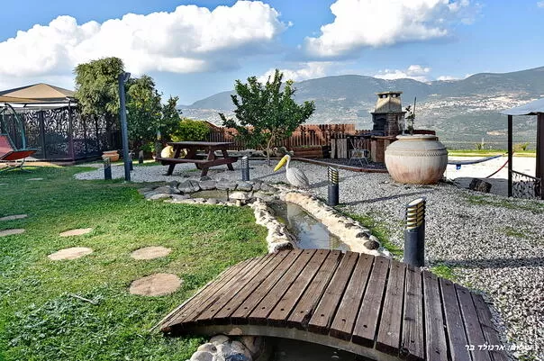 Galilee, Hazon