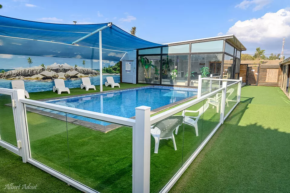 In the outdoor area there is a large swimming pool (10x5) and partially shaded - Zimmero Biktot Ha'etz Shel Miro, Eliphelet, Upper Galilee