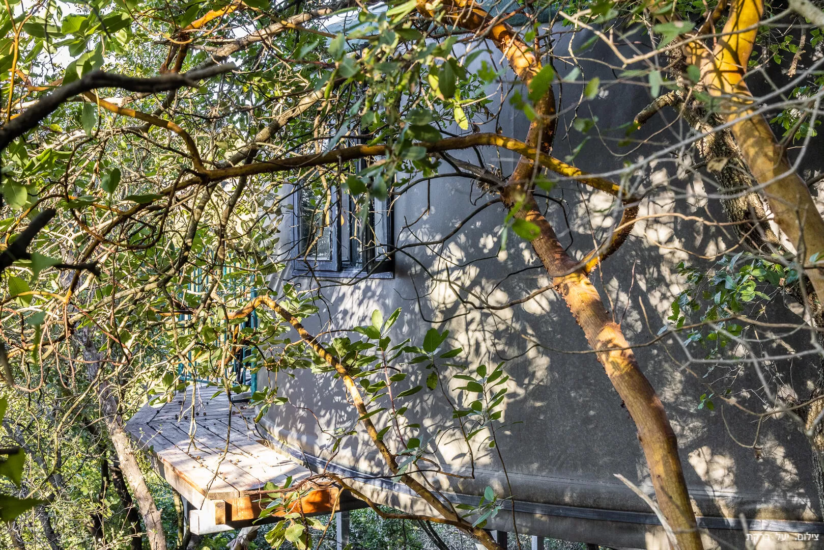 The yurt is located in the heart of the city, surrounded by trees and vegetation - Yortov in Matat, Matat, Western Galilee