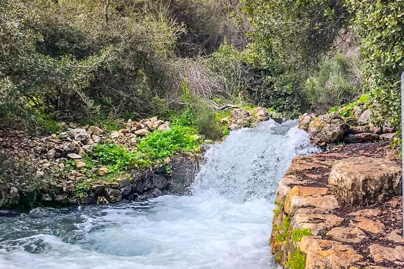 A tributary of Nahal Shafer runs through the complex and flows most of the year - Ahuza Bateva, Shafer, Upper Galilee