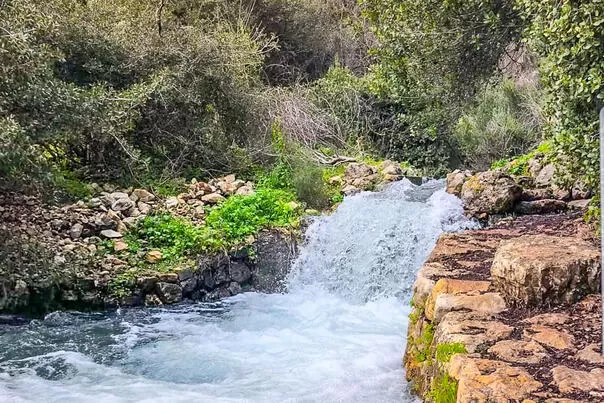 A tributary of Nahal Shafer runs through the complex and flows most of the year - Ahuza Bateva, Shafer, Upper Galilee