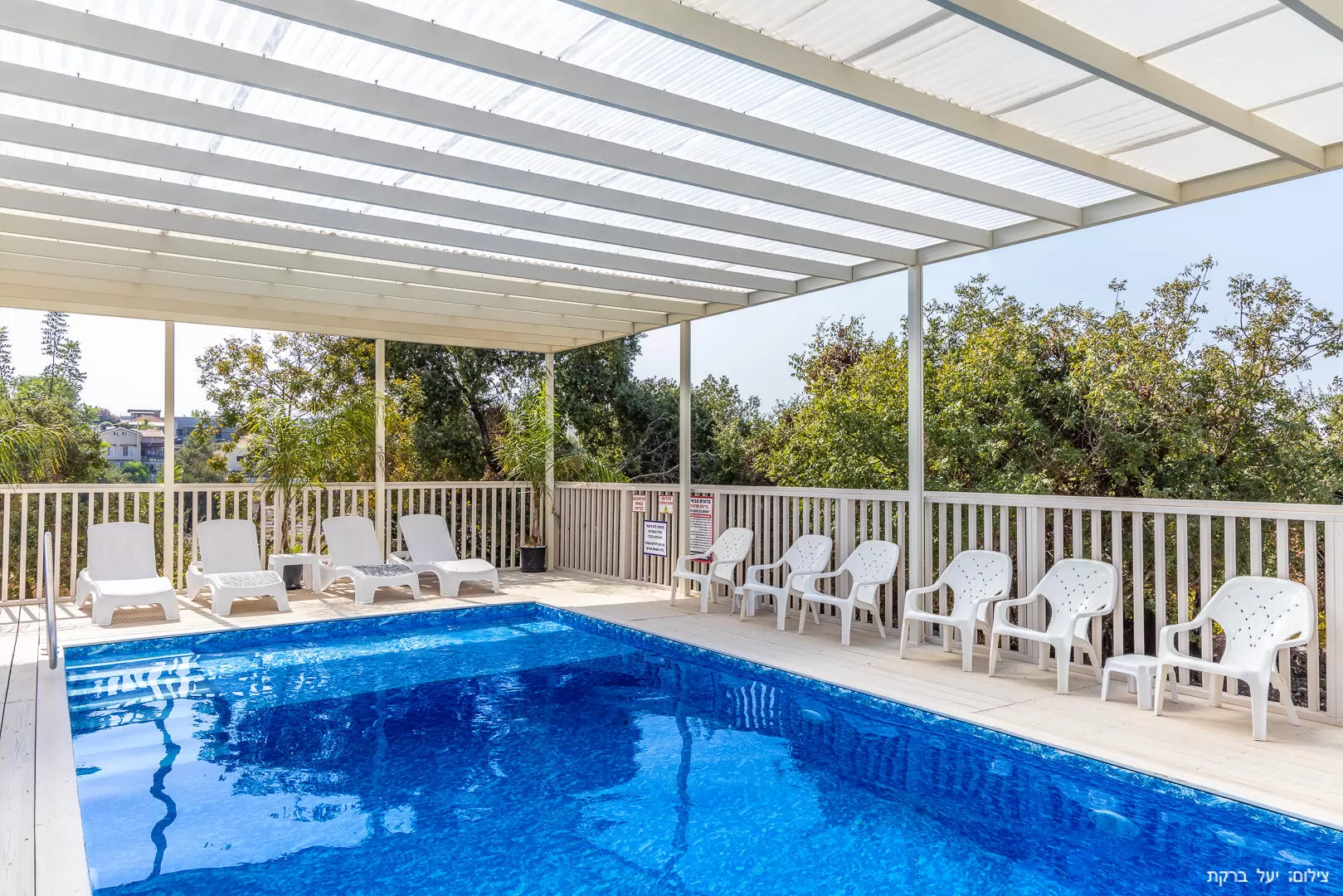 The pool area is surrounded by trees and lots of greenery - Bayn Ha'Etzim, Yaara, Western Galilee