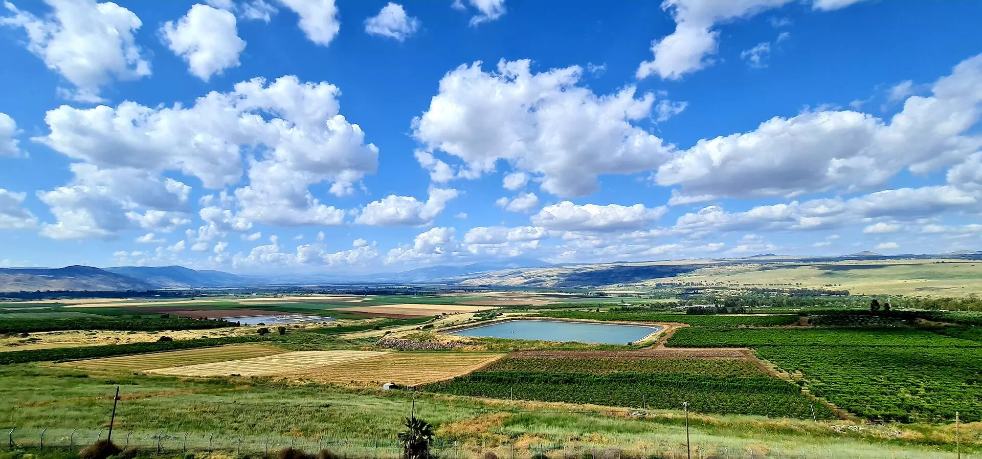 A view of fields and orchards as far as Hermon - Shik's, Mishmar Jordan, Upper Galilee