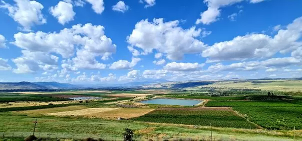 A view of fields and orchards as far as Hermon - Shik's, Mishmar Jordan, Upper Galilee