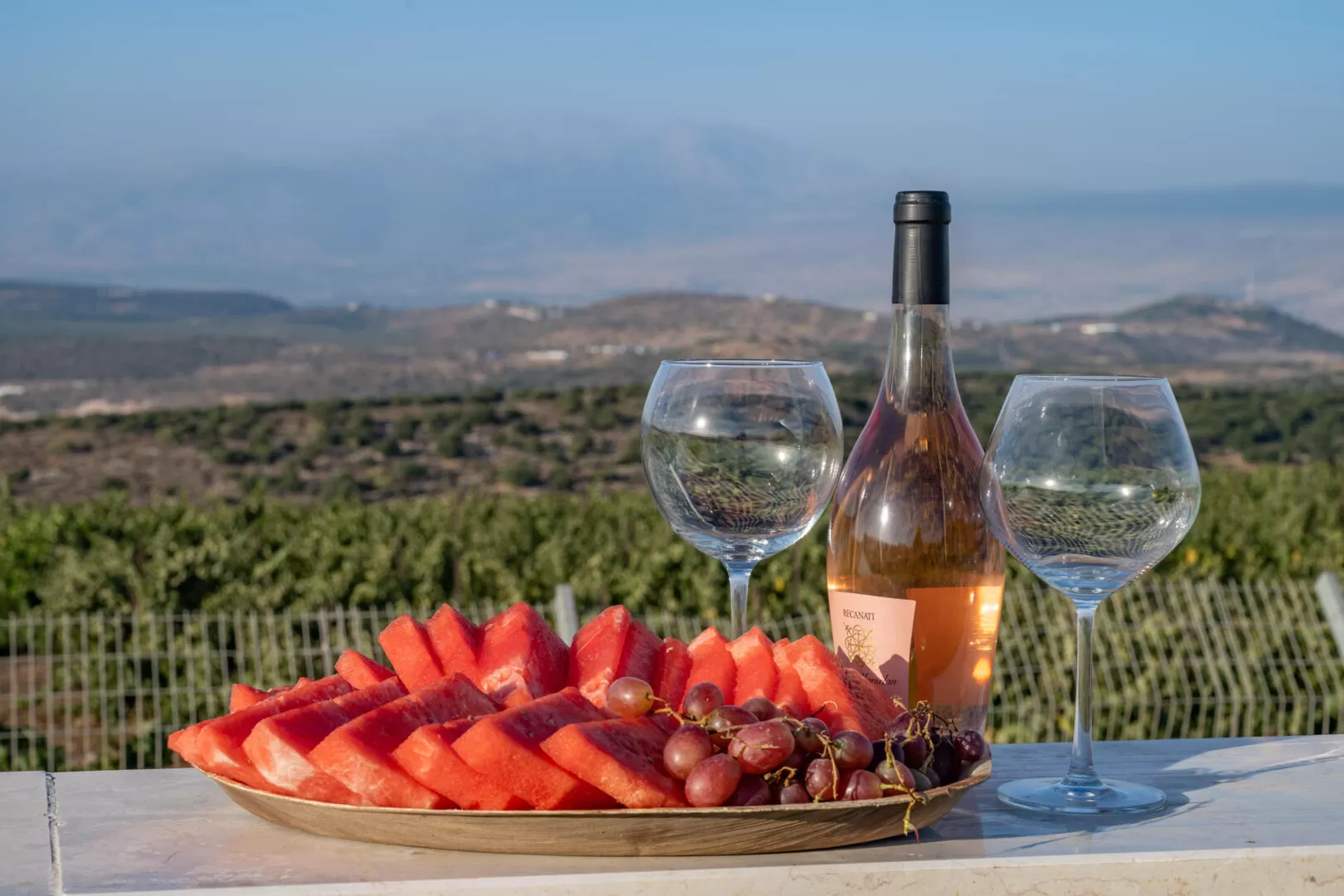 View of the vineyards and mountains - Almes, Alma, Upper Galilee