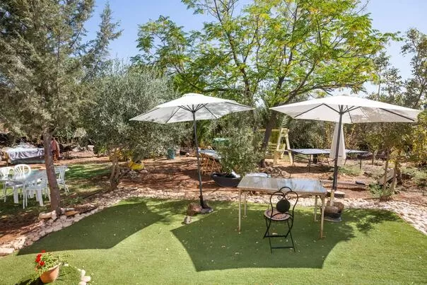 שפע פינות ישיבה תחת העצים בחצר - מבט לכנרת, צימר בצפון, כורזים, סובב כנרת