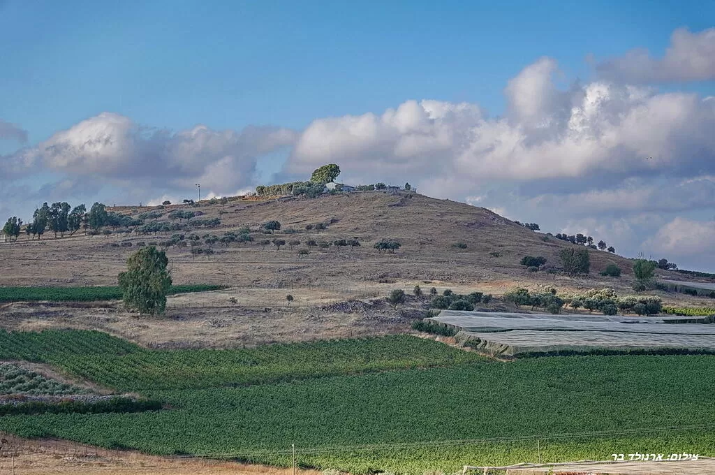 The view of the Galilee mountains surrounds the area - Villa Maasai, Dalton, Upper Galilee
