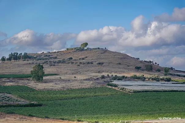 The view of the Galilee mountains surrounds the area - Villa Maasai, Dalton, Upper Galilee