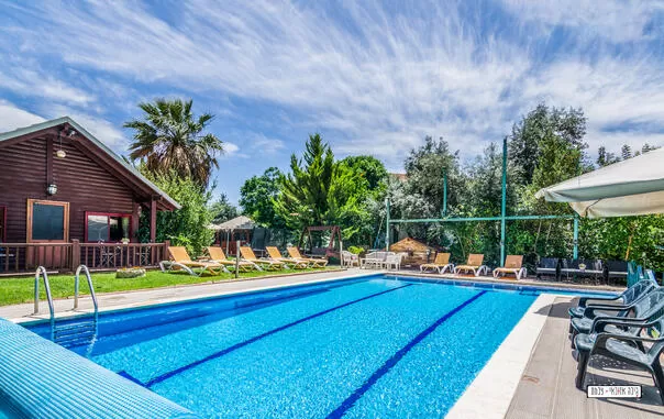4 wooden cabins for couples and families around a common pool for bathing in the season - Biktot Gabi Bektseh Haya'ar, Shafer, Upper Galilee