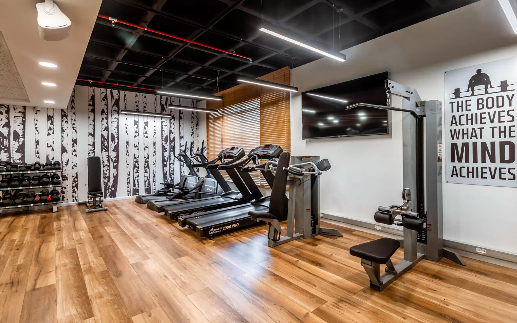 Professional gym for use by guests in the complex - Almogim Condos, Eilat, Arava