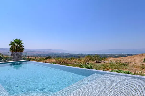 בריכת אינפיניטי מוקפת דשא, סלעים ודקלים, נוף הרים ומים - נקודה בנוף - ציפור הכנרת, וילה בצפון, חד נס, רמת-הגולן והחרמון