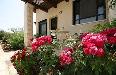 Al Mapalim | Suites, Matula