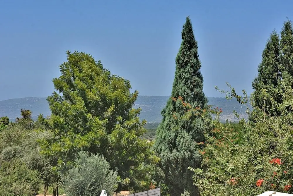 פול ויו  | Pool view