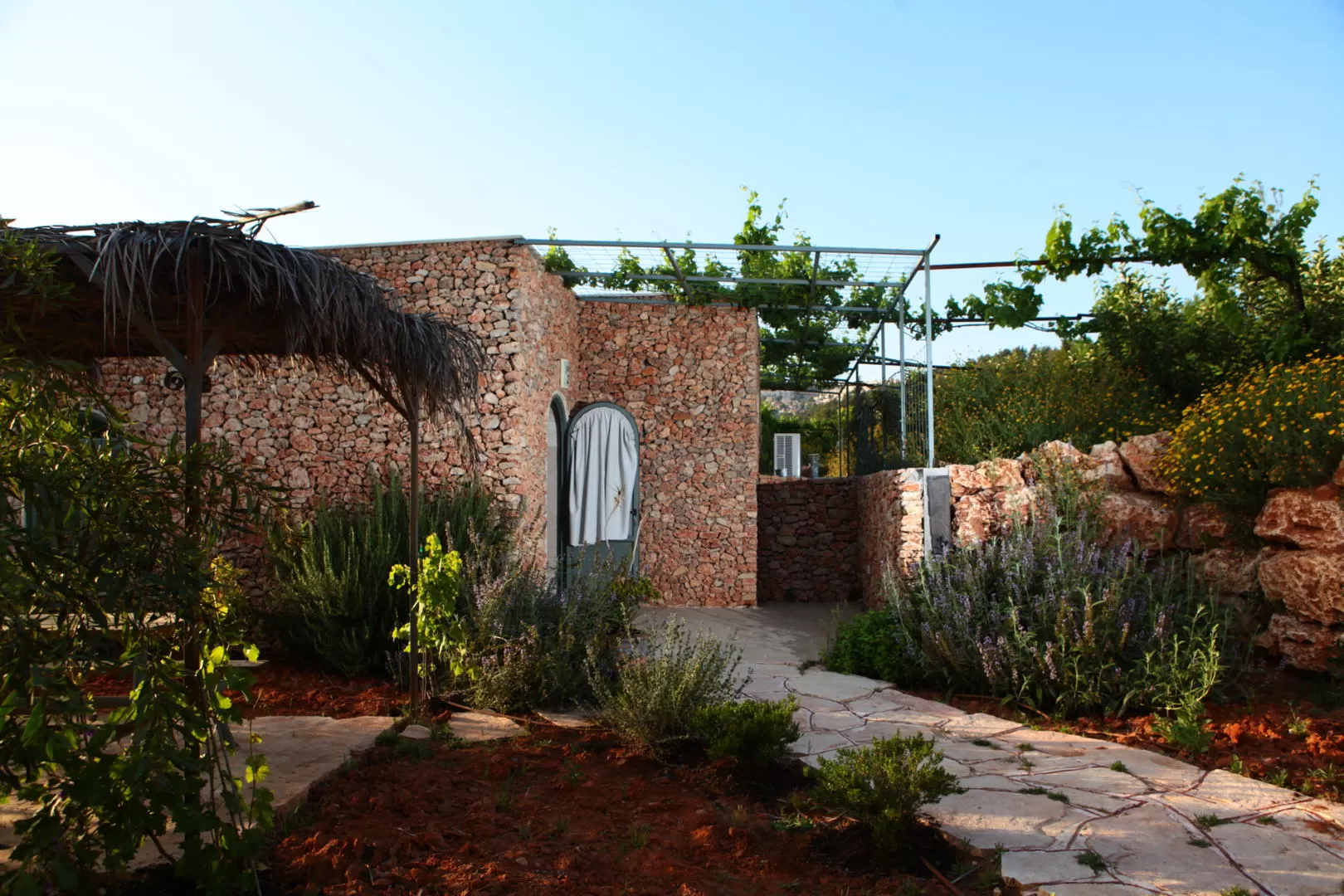 Tor Sinai | Organic Vacation Farm, Jerusalem
