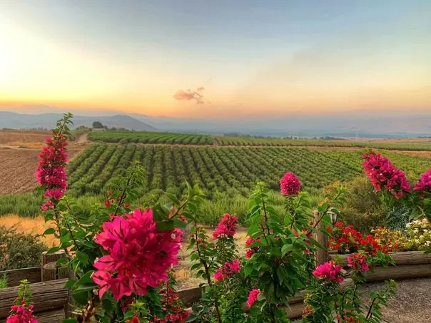 בקתה בחווה - לזוגות בלבד